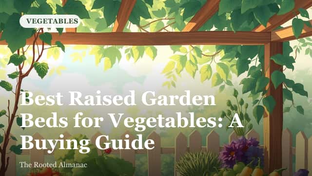 Several raised garden beds made of different materials filled with vegetable seedlings in a backyard