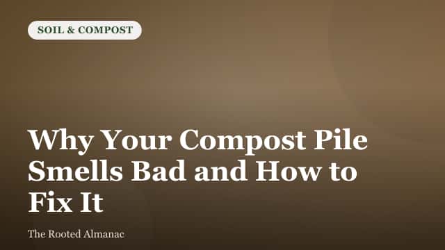 A gardener turning a smelly, wet compost pile with a pitchfork to add air and fix the odor